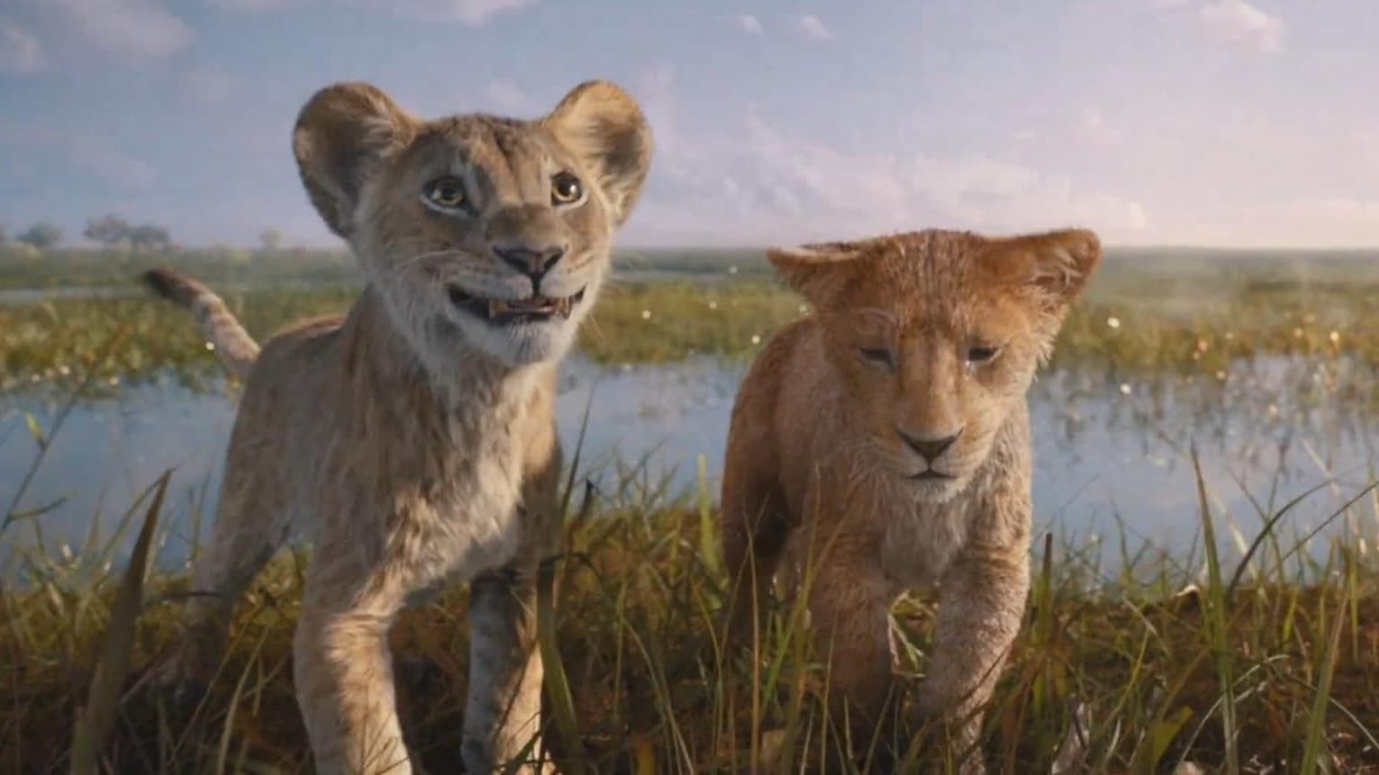 Mufasa : Le Roi Lion